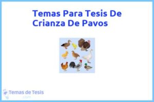 Tesis de Crianza De Pavos: Ejemplos y temas TFG TFM