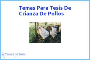 Tesis de Crianza De Pollos: Ejemplos y temas TFG TFM