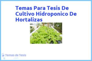 Tesis de Cultivo Hidroponico De Hortalizas: Ejemplos y temas TFG TFM