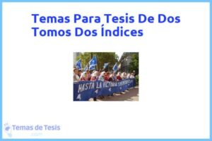 Tesis de Dos Tomos Dos Índices: Ejemplos y temas TFG TFM