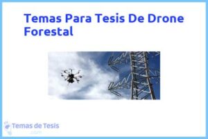 Tesis de Drone Forestal: Ejemplos y temas TFG TFM