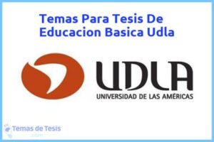 Tesis de Educacion Basica Udla: Ejemplos y temas TFG TFM