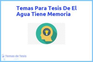 Tesis de El Agua Tiene Memoria: Ejemplos y temas TFG TFM