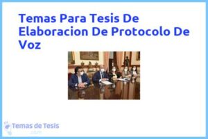 Tesis de Elaboracion De Protocolo De Voz: Ejemplos y temas TFG TFM