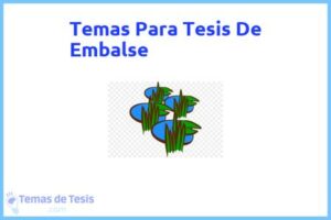Tesis de Embalse: Ejemplos y temas TFG TFM