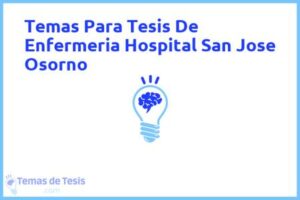 Tesis de Enfermeria Hospital San Jose Osorno: Ejemplos y temas TFG TFM