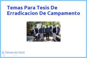 Tesis de Erradicacion De Campamento: Ejemplos y temas TFG TFM