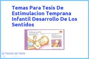 Tesis de Estimulacion Temprana Infantil Desarrollo De Los Sentidos: Ejemplos y temas TFG TFM