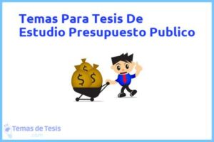 Tesis de Estudio Presupuesto Publico: Ejemplos y temas TFG TFM