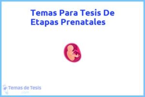 Tesis de Etapas Prenatales: Ejemplos y temas TFG TFM