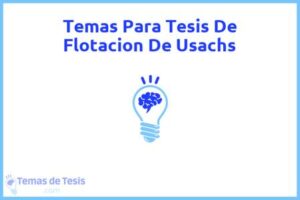 Tesis de Flotacion De Usachs: Ejemplos y temas TFG TFM