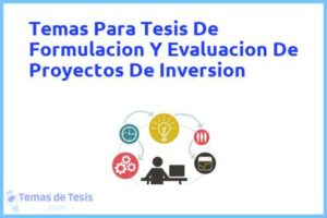 Tesis de Formulacion Y Evaluacion De Proyectos De Inversion: Ejemplos y temas TFG TFM
