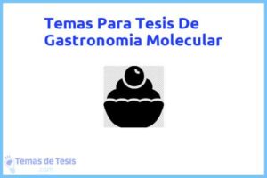 Tesis de Gastronomia Molecular: Ejemplos y temas TFG TFM
