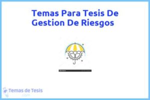 Tesis de Gestion De Riesgos: Ejemplos y temas TFG TFM