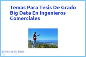 Tesis de Grado Big Data En Ingenieros Comerciales: Ejemplos y temas TFG TFM