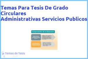 Tesis de Grado Circulares Administrativas Servicios Publicos: Ejemplos y temas TFG TFM