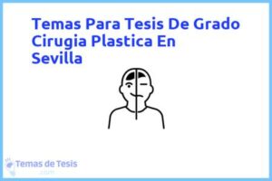 Tesis de Grado Cirugia Plastica En Sevilla: Ejemplos y temas TFG TFM