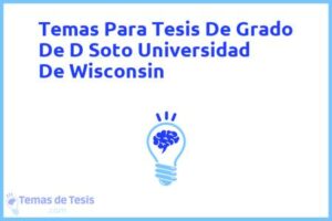 Tesis de Grado De D Soto Universidad De Wisconsin: Ejemplos y temas TFG TFM