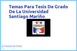 Tesis de Grado De La Universidad Santiago Mariño: Ejemplos y temas TFG TFM