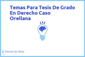 Tesis de Grado En Derecho Caso Orellana: Ejemplos y temas TFG TFM