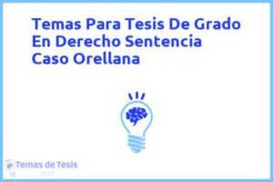 Tesis de Grado En Derecho Sentencia Caso Orellana: Ejemplos y temas TFG TFM