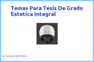 Tesis de Grado Estetica Integral: Ejemplos y temas TFG TFM