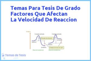 Tesis de Grado Factores Que Afectan La Velocidad De Reaccion: Ejemplos y temas TFG TFM