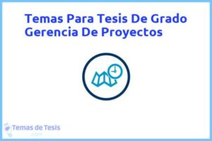 Tesis de Grado Gerencia De Proyectos: Ejemplos y temas TFG TFM