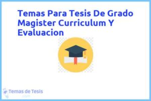 Tesis de Grado Magister Curriculum Y Evaluacion: Ejemplos y temas TFG TFM