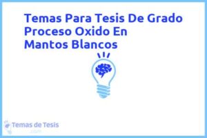 Tesis de Grado Proceso Oxido En Mantos Blancos: Ejemplos y temas TFG TFM