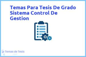 Tesis de Grado Sistema Control De Gestion: Ejemplos y temas TFG TFM