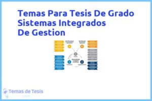 Tesis de Grado Sistemas Integrados De Gestion: Ejemplos y temas TFG TFM