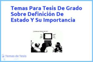 Tesis de Grado Sobre Definición De Estado Y Su Importancia: Ejemplos y temas TFG TFM