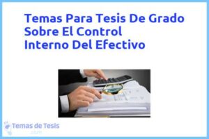 Tesis de Grado Sobre El Control Interno Del Efectivo: Ejemplos y temas TFG TFM