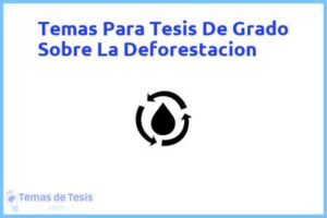 Tesis de Grado Sobre La Deforestacion: Ejemplos y temas TFG TFM