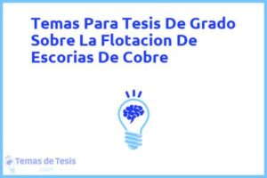 Tesis de Grado Sobre La Flotacion De Escorias De Cobre: Ejemplos y temas TFG TFM