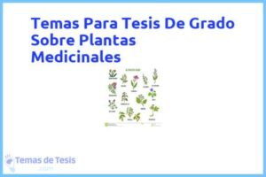 Tesis de Grado Sobre Plantas Medicinales: Ejemplos y temas TFG TFM
