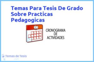 Tesis de Grado Sobre Practicas Pedagogicas: Ejemplos y temas TFG TFM