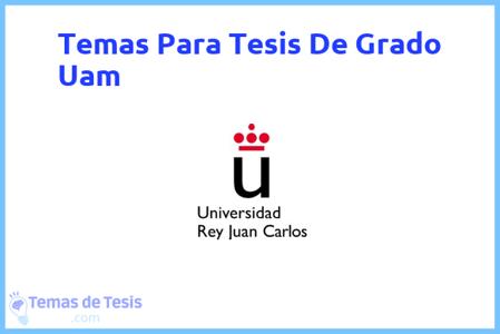 temas de tesis de Grado Uam, ejemplos para tesis en Grado Uam, ideas para tesis en Grado Uam, modelos de trabajo final de grado TFG y trabajo final de master TFM para guiarse