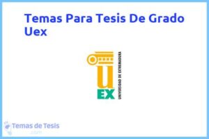 Tesis de Grado Uex: Ejemplos y temas TFG TFM