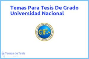 Tesis de Grado Universidad Nacional: Ejemplos y temas TFG TFM