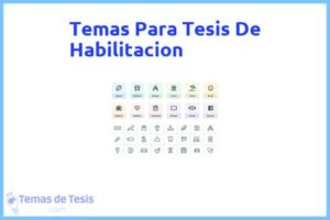 Tesis de Habilitacion: Ejemplos y temas TFG TFM