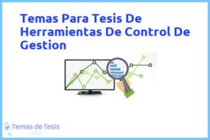 Tesis de Herramientas De Control De Gestion: Ejemplos y temas TFG TFM
