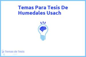 Tesis de Humedales Usach: Ejemplos y temas TFG TFM