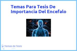 Tesis de Importancia Del Encefalo: Ejemplos y temas TFG TFM