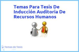 Tesis de Inducción Auditoria De Recursos Humanos: Ejemplos y temas TFG TFM