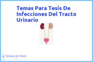 Tesis de Infecciones Del Tracto Urinario: Ejemplos y temas TFG TFM