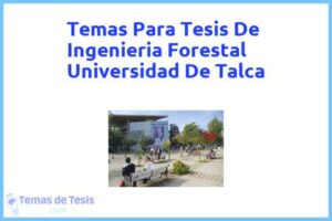 Tesis de Ingenieria Forestal Universidad De Talca: Ejemplos y temas TFG TFM