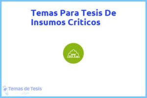 Tesis de Insumos Criticos: Ejemplos y temas TFG TFM