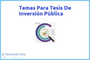 Tesis de Inversión Pública: Ejemplos y temas TFG TFM